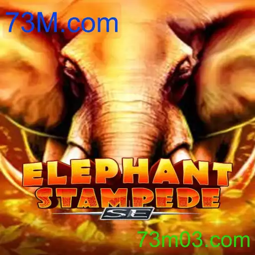 ElephantStampedeSE